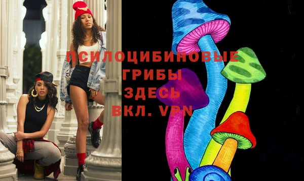 герыч Алексин