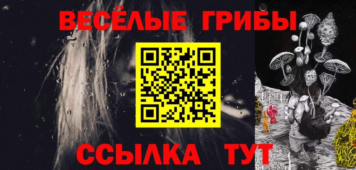 Псилоцибиновые грибы MAGIC MUSHROOMS  Галлюциногенные грибы мицелий  Канаш  Вход с VPN 