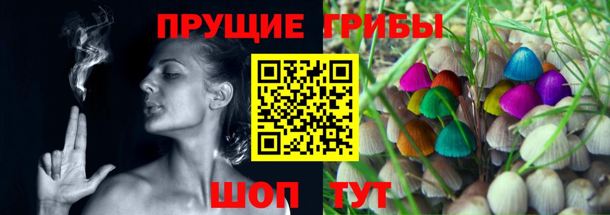 Галлюциногенные грибы Psilocybe Канаш